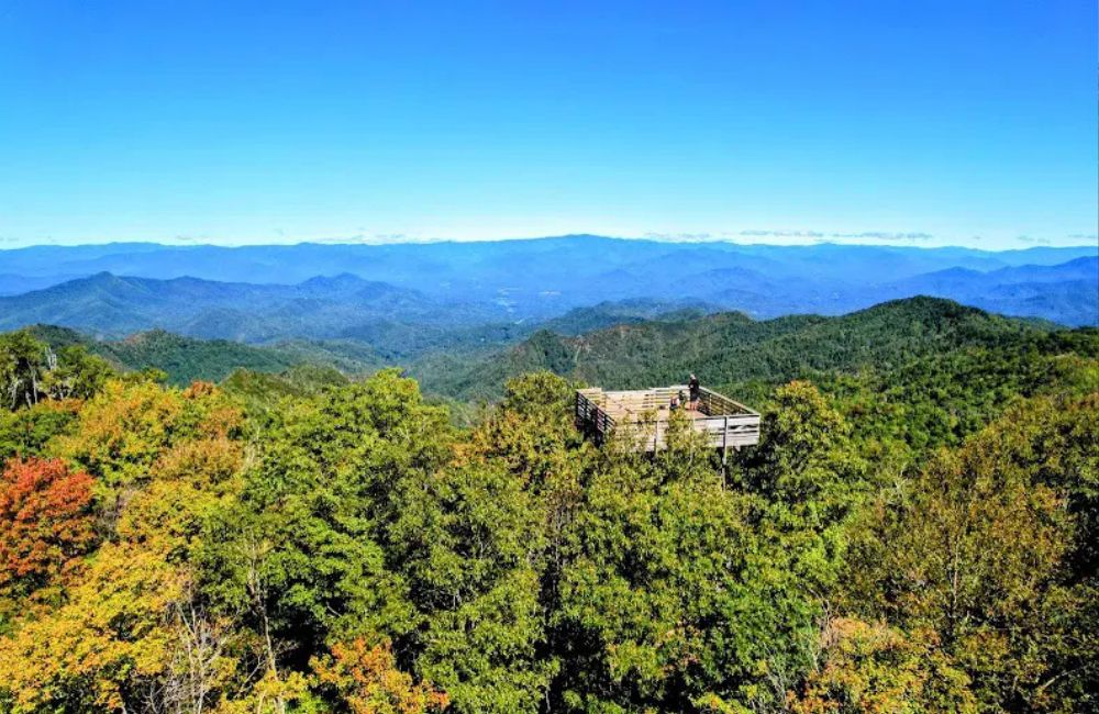 3 Little Bears Retreat - Fire Towers