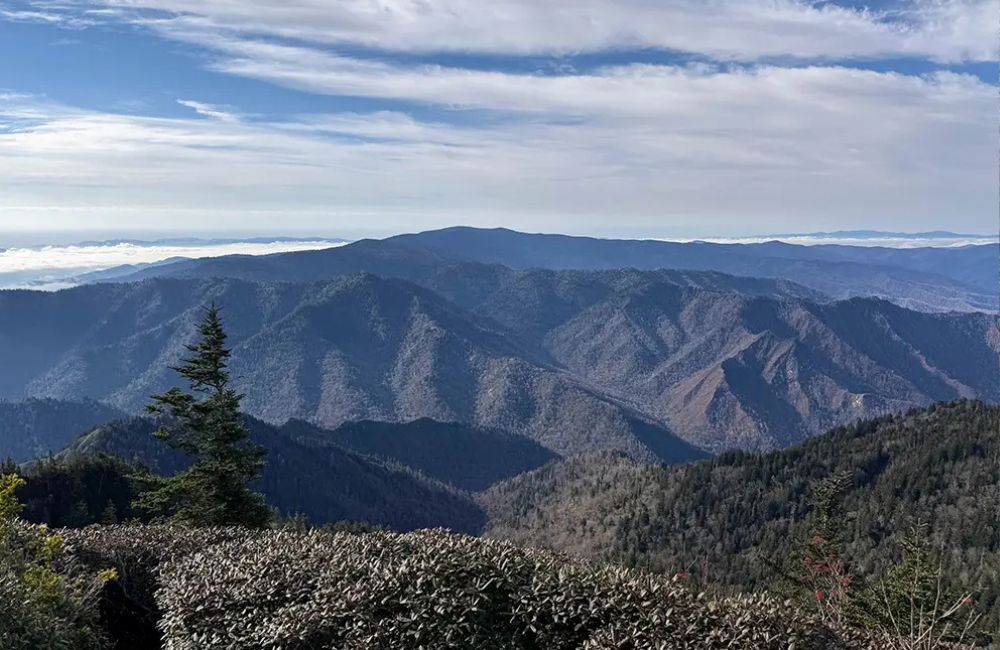 3 Little Bears Retreat - Hiking