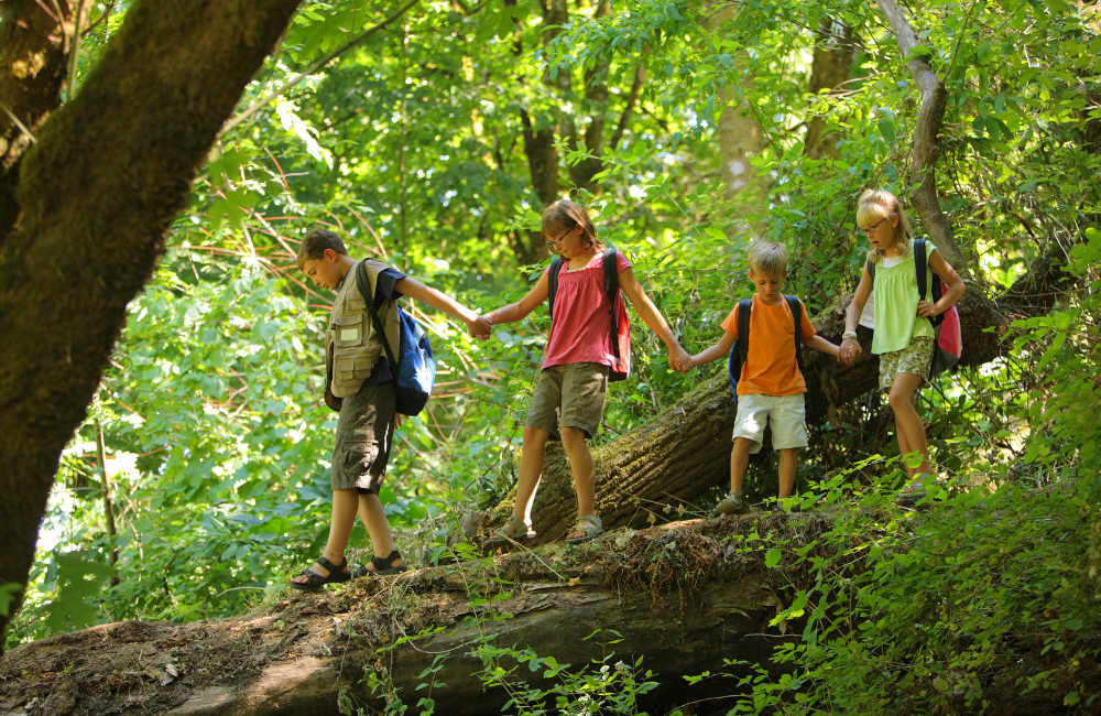Children hiking Bryson City NC