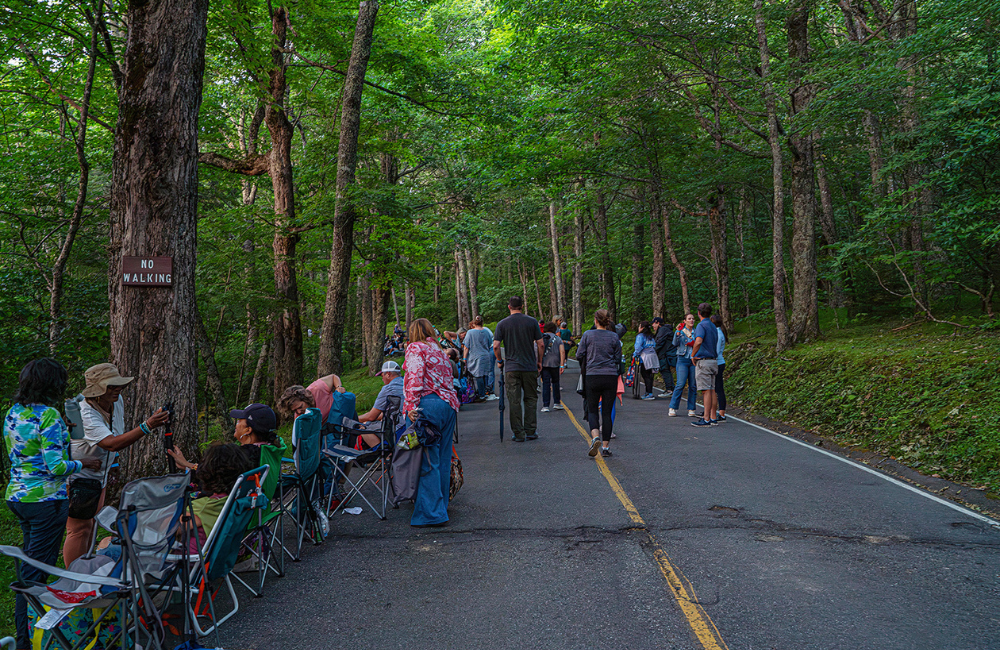 Grandfather Glows Firefly Viewing Lottery