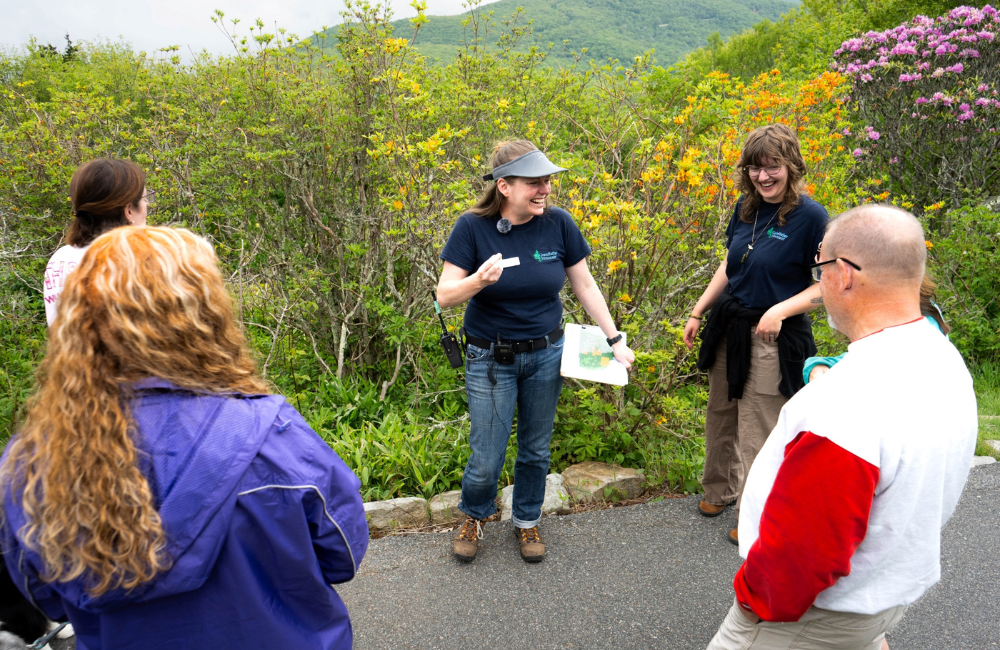 People gathered for Rhododendron Rambles at Grandfather Mountain