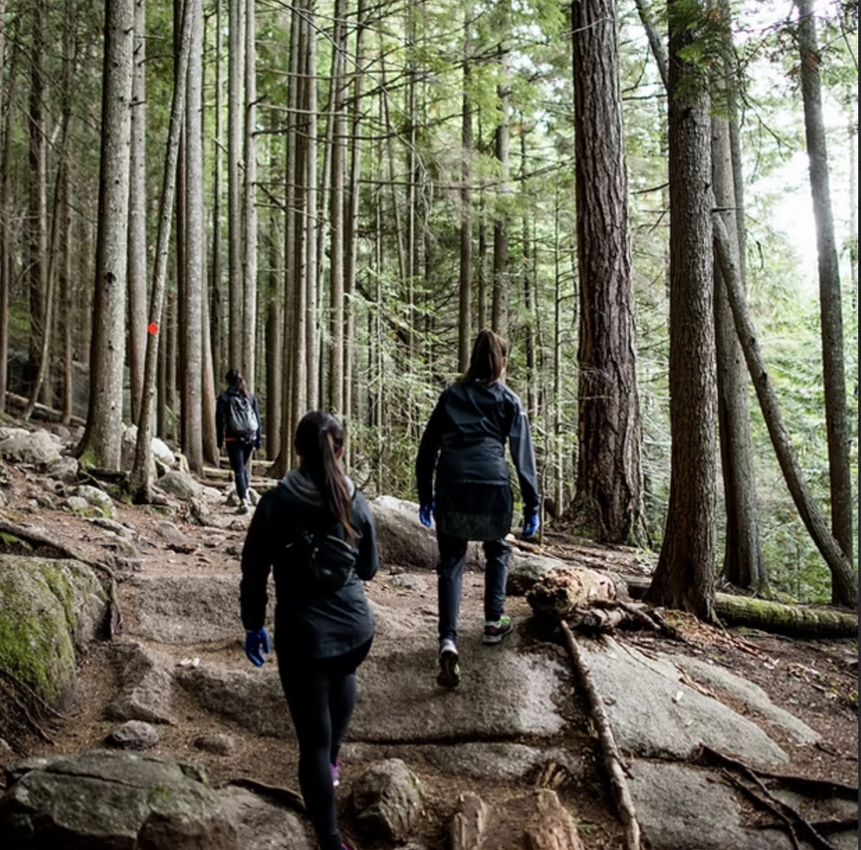 Hiking during Lake Lure Olympiad