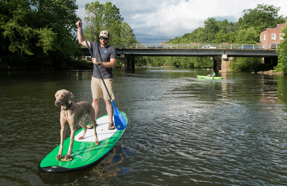 Stand Up Paddleboard and Kayak Tours with GreenFlash Watersports