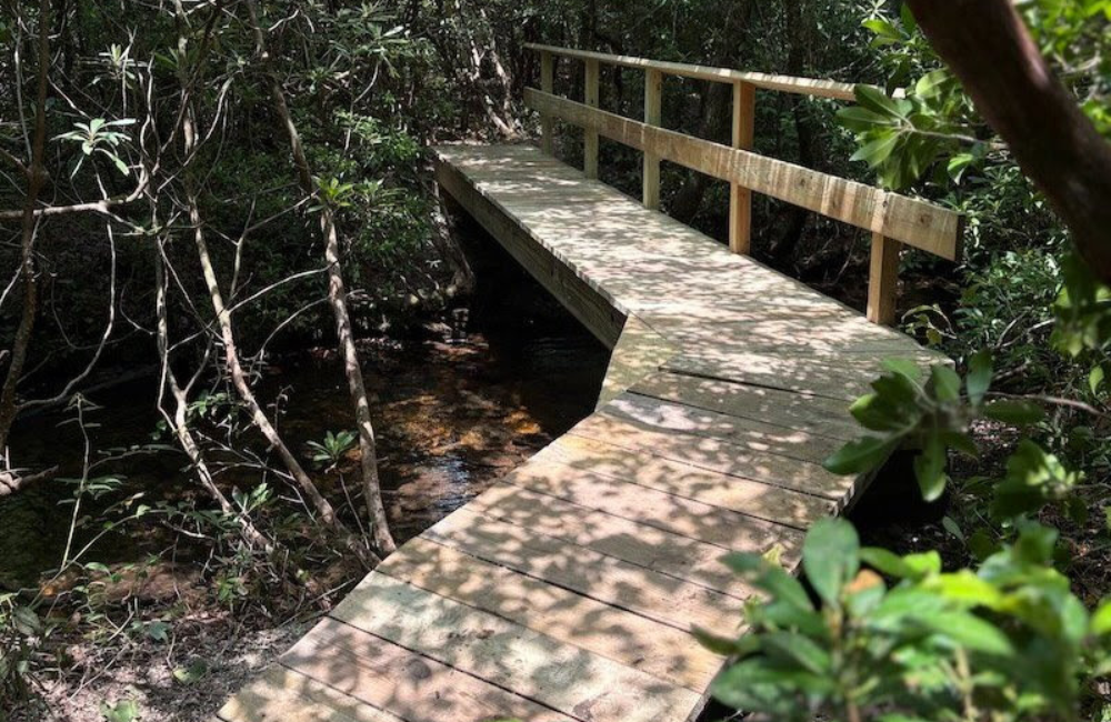 Bridge photo for 2026 Pisgah Bridge Adventure Challenge