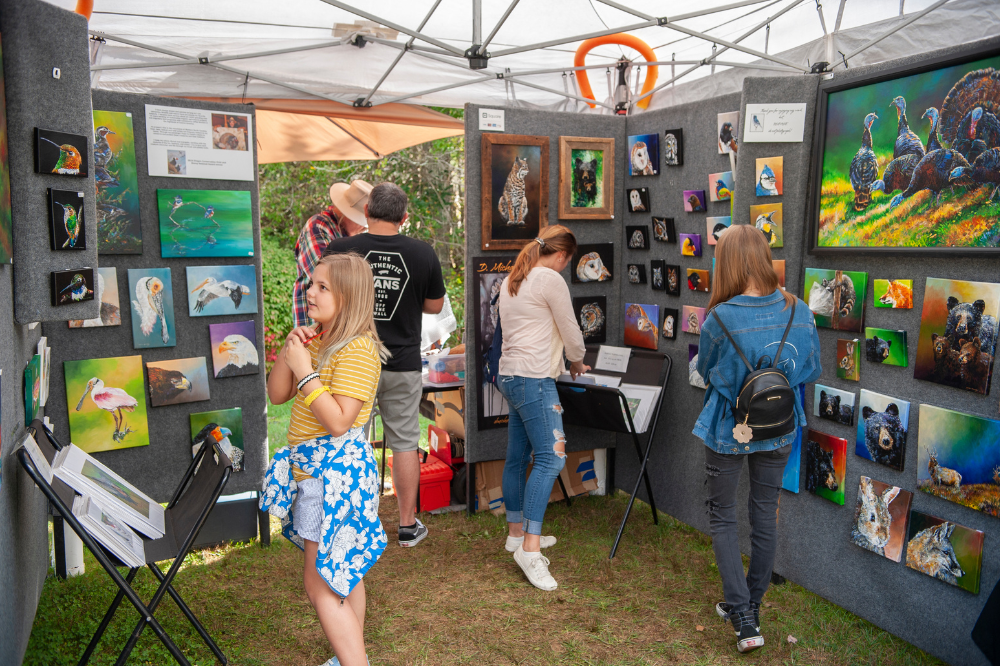 people viewing paintings at a festival