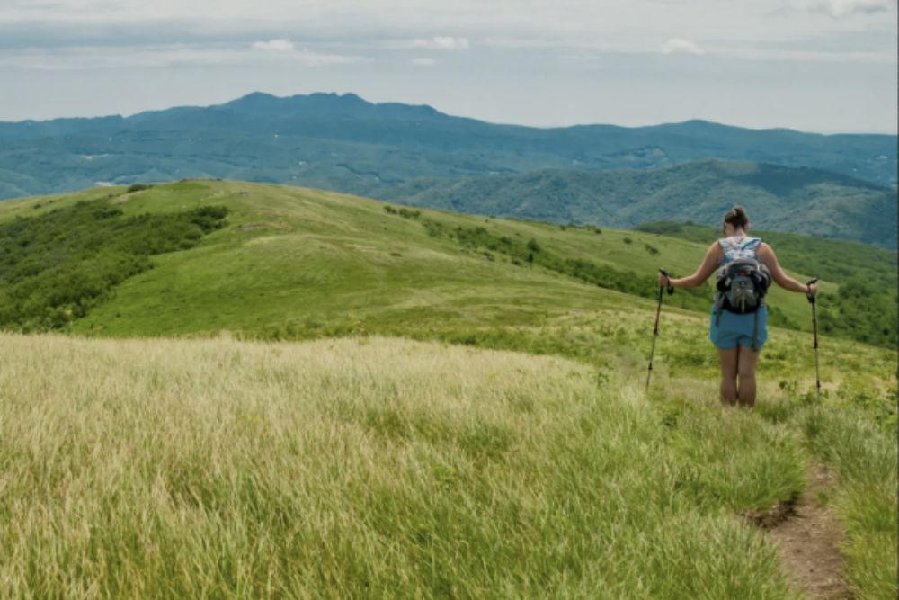 High bald during hiking tour