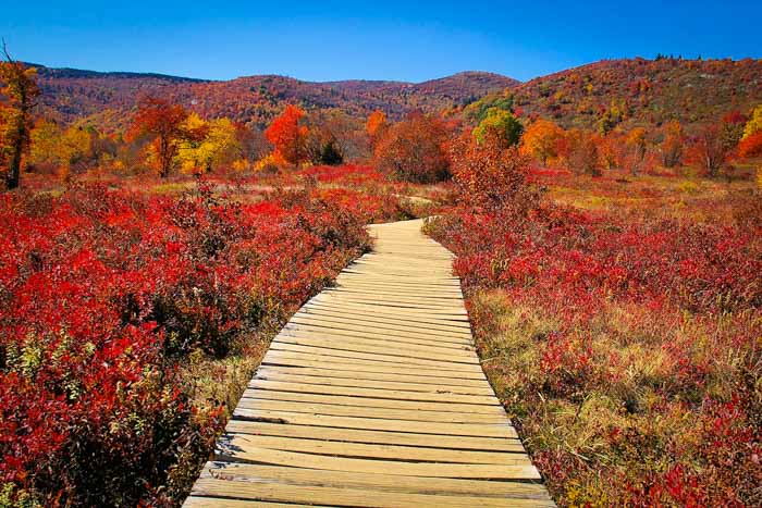 Fall Color Asheville 2025