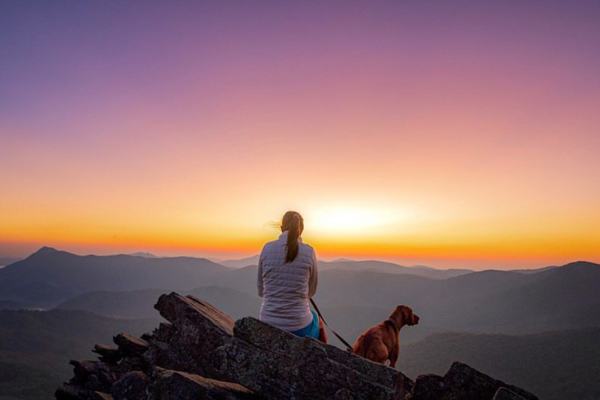 dog friendly hikes asheville