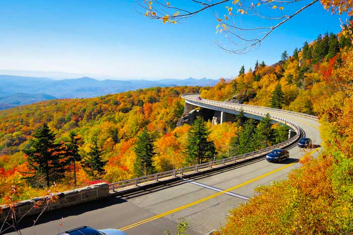 Line Cove Viaduct Fall