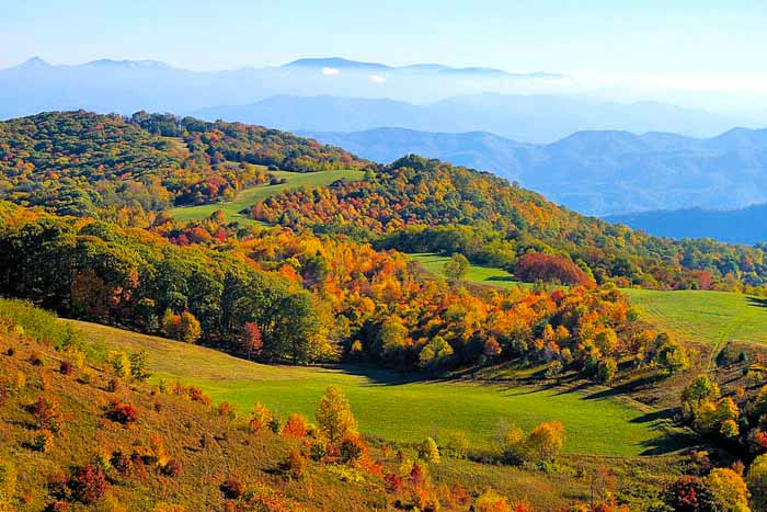 Max Patch NC