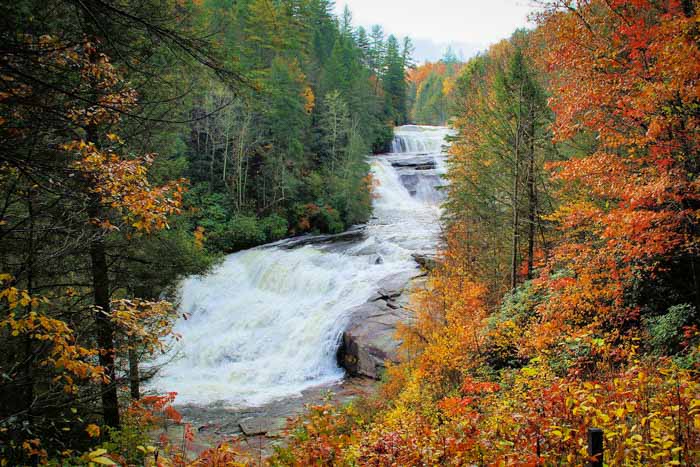 DuPont State Recreational Forest