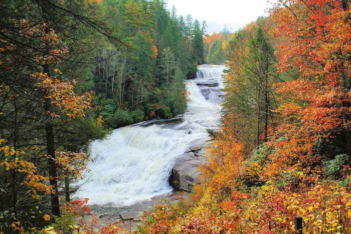 Triple Falls DuPont Forest