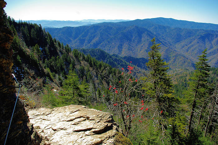 Alum Cave Trail