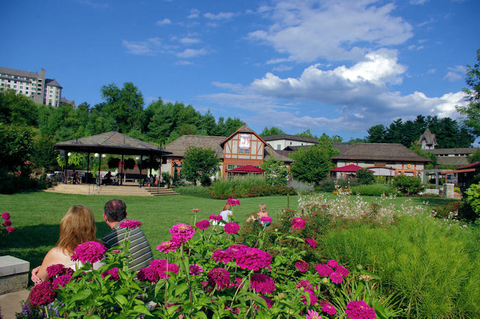 Antler Hill Village Bitmore