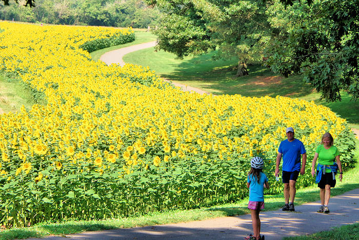 Biltmore Outdoors Hiking