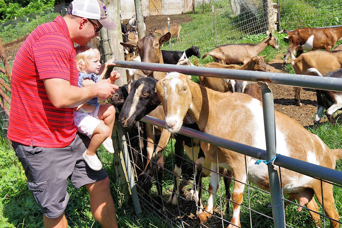 WNC Cheese Trail 