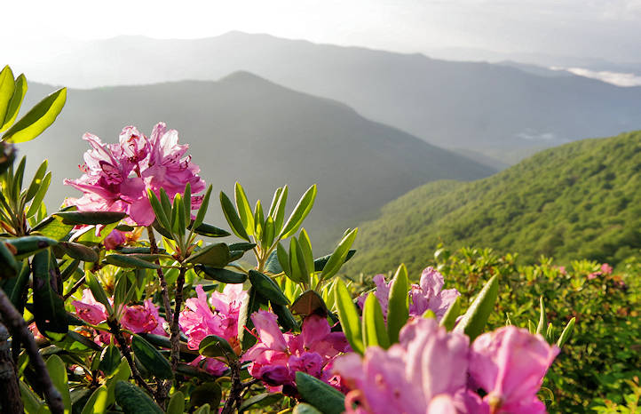 Craggy Gardens, Blue Ridge Parkway NC