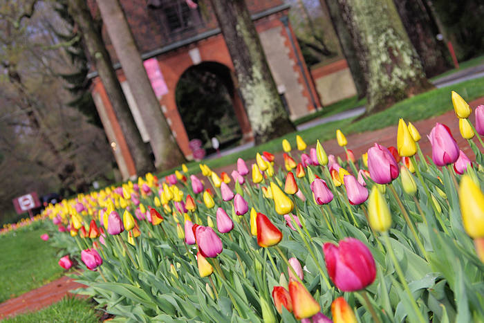 Easter Weekend in Asheville