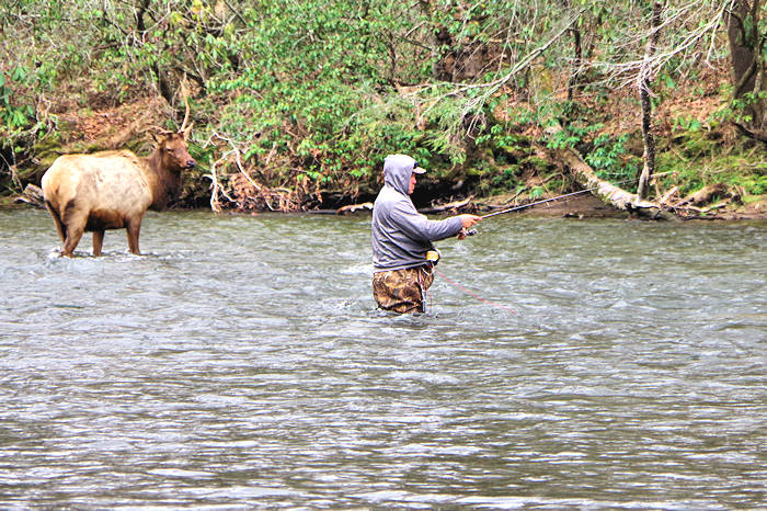 Fly Fishing NC Mountains