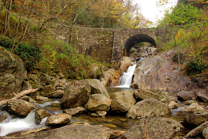 Forest Heritage Scenic Byway