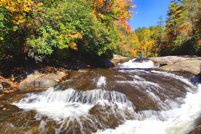 Gorges State Park, NC