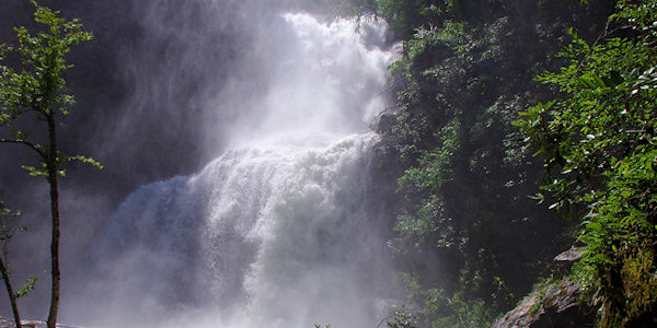 High Falls NC