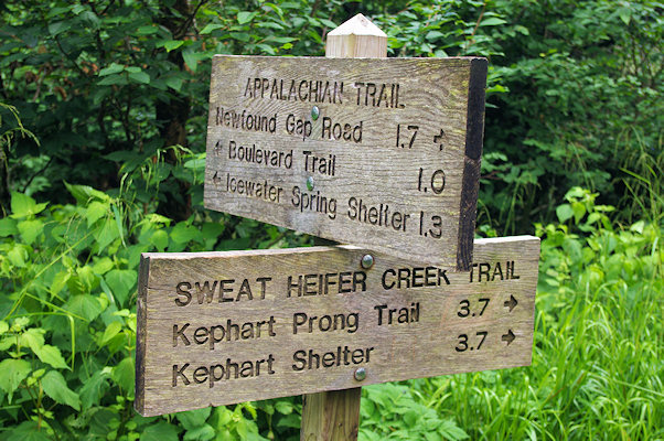 Guided Group Hikes