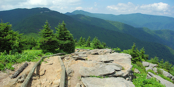 Deep Gap Trail, Mt Craig