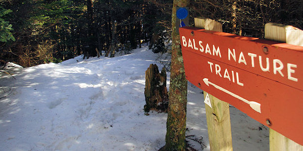 Mt Mitchell Snow Hike