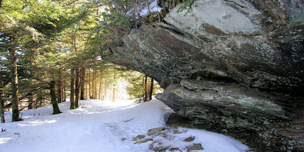 Mt. Mitchell Winter Hike