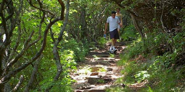 Mt Pisgah Hike