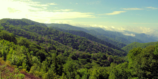 Newfound Gap Road 