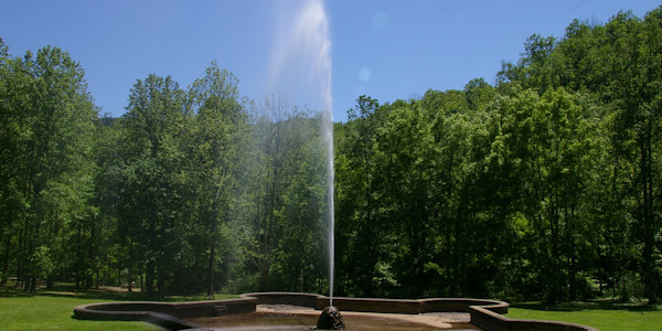 Andrew's Geyser