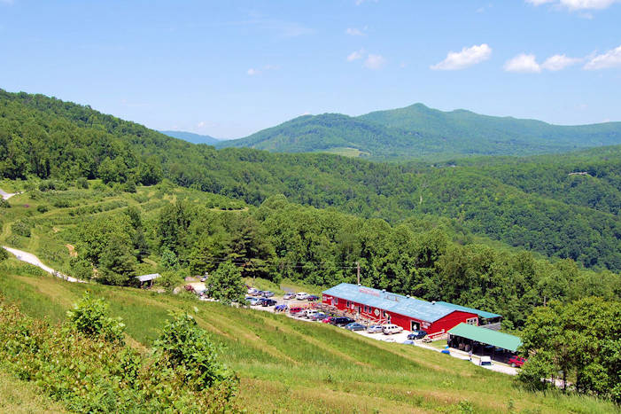 Orchard at Altapass