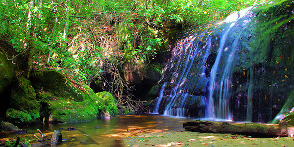 Frolictown Falls