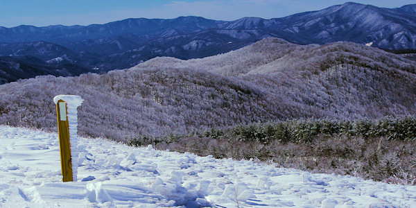 Pisgah National Forest: Max Patch