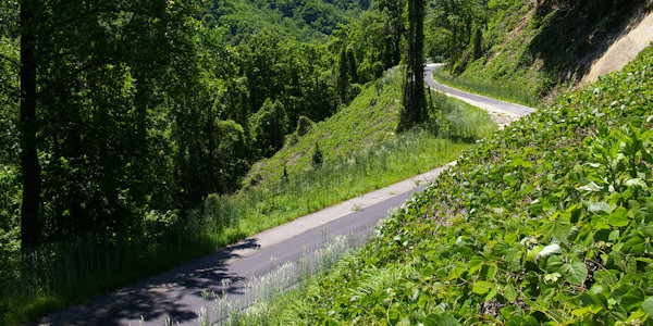 Point Lookout Greenway