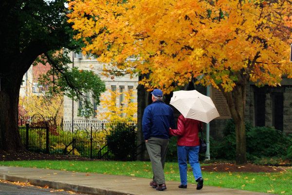 Asheville Rainy Day Activities