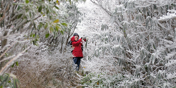 Rime Ice NC Mountains