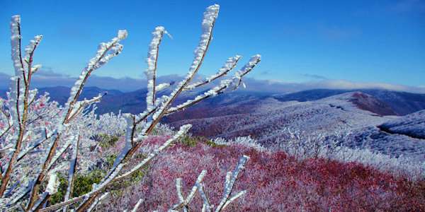 Rime Ice Blue Ridge Parkway