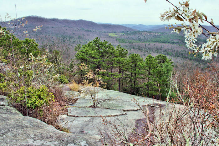DuPont State Recreational Forest