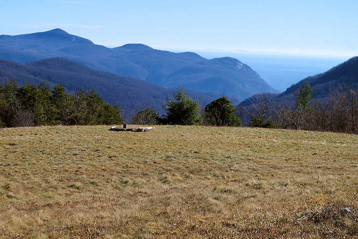 Trombatore Trail NC