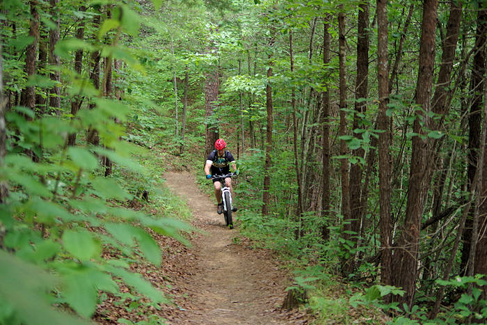 Tsali Mountain Biking