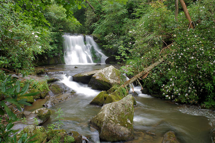 Yellow Creek Falls in Graham County NC