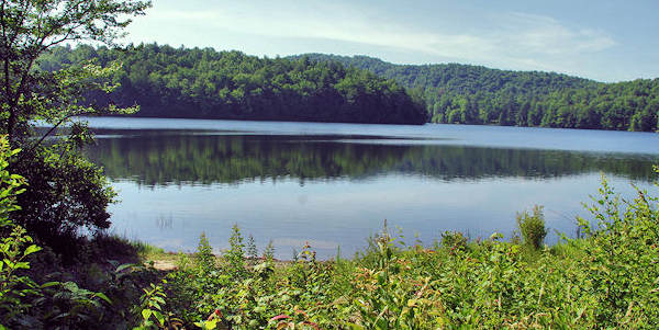 Lake Julia, DuPont Forest