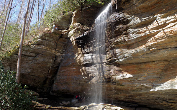 Moore Cove Falls NC