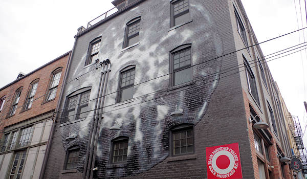 Mural in downtown Asheville