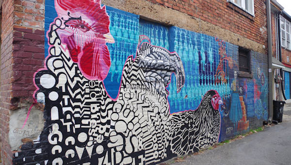 Chicken Alley, Asheville