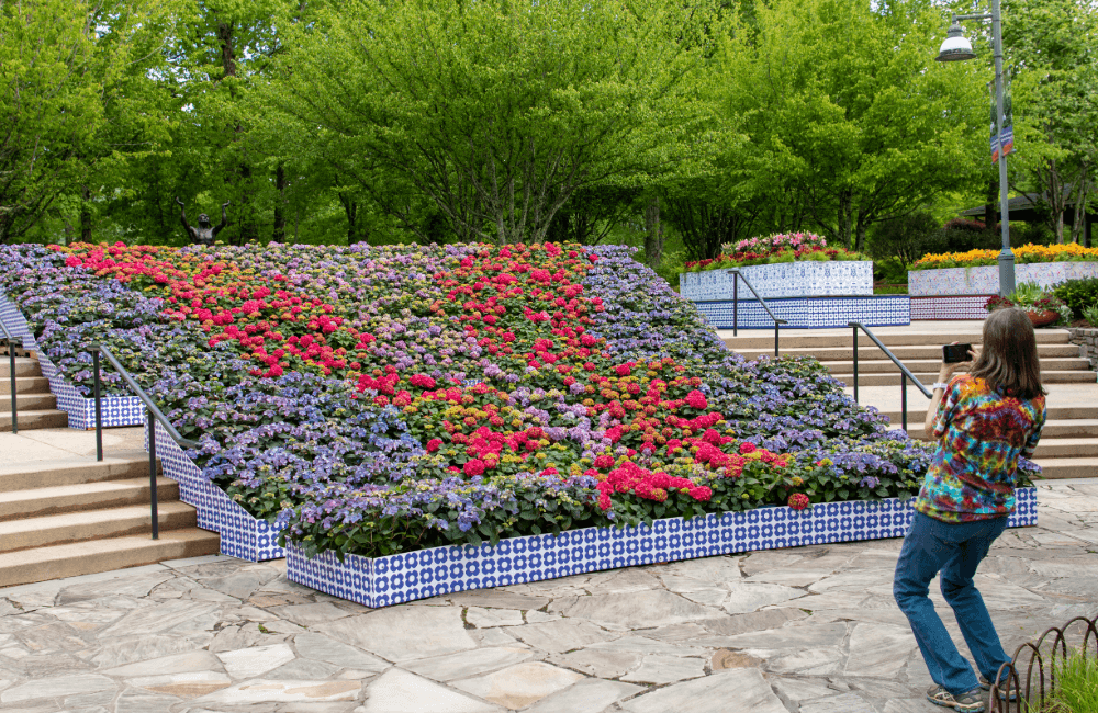 Bloom with a View floral display