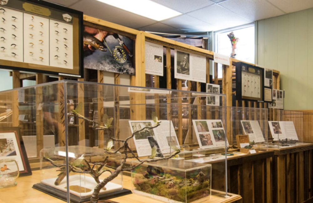 Scientific exhibits at Appalachian Rivers Aquarium, Bryson City
